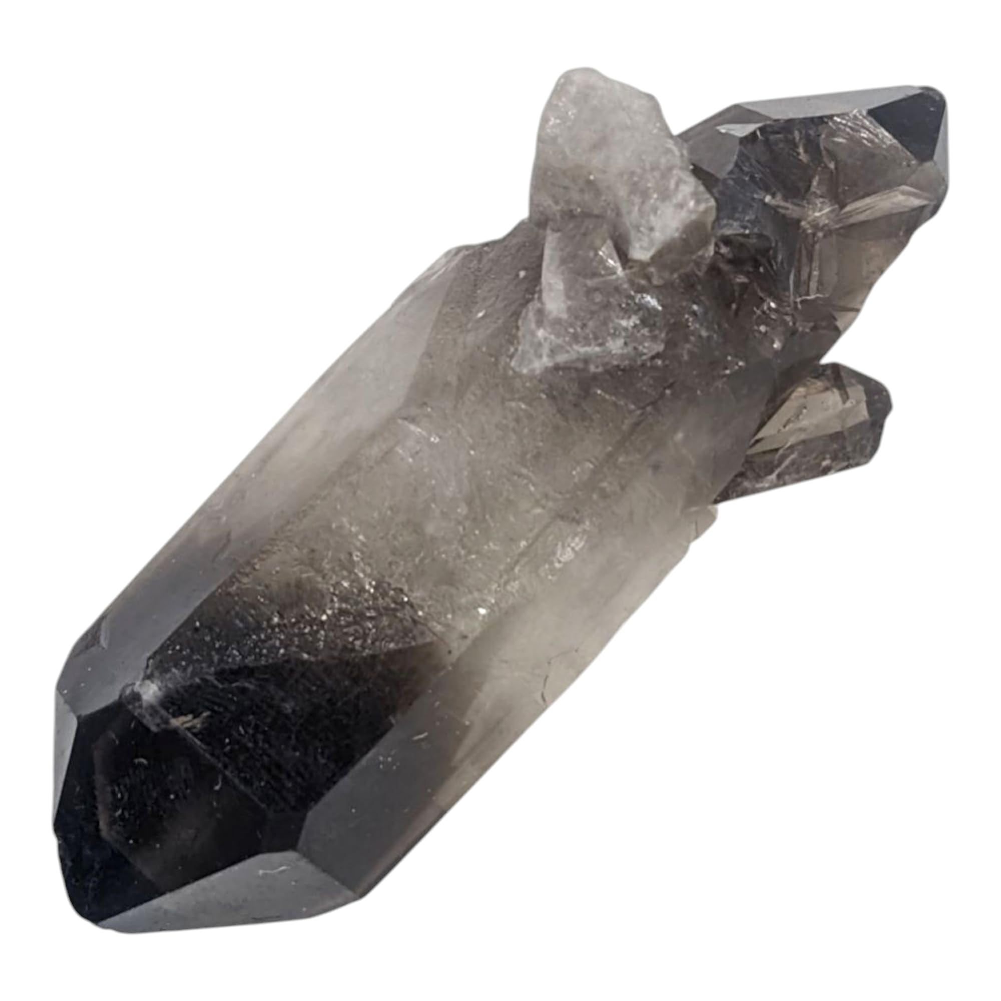 Amazon.co.jp: つくしサイエンス スモーキークォーツ 25g 煙水晶